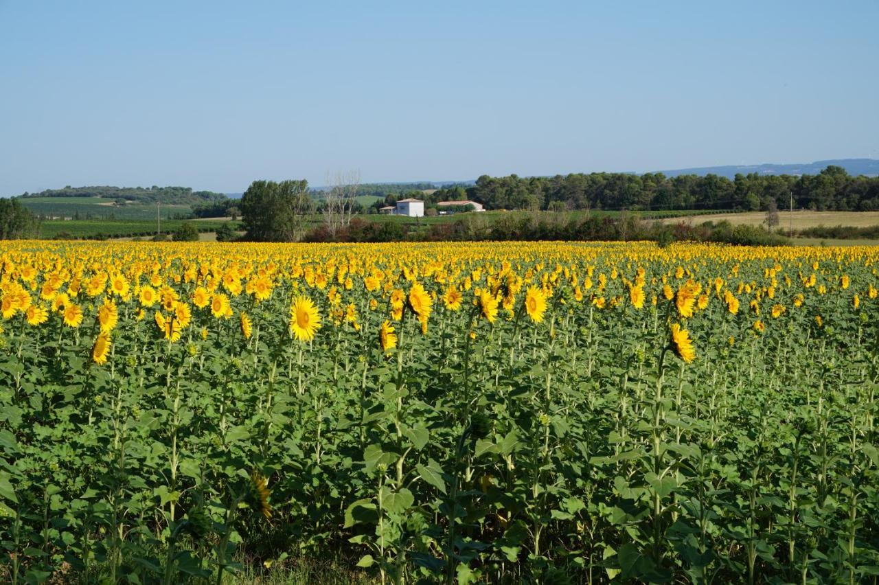 Le Clos Des Troubadours Pennautier Екстер'єр фото